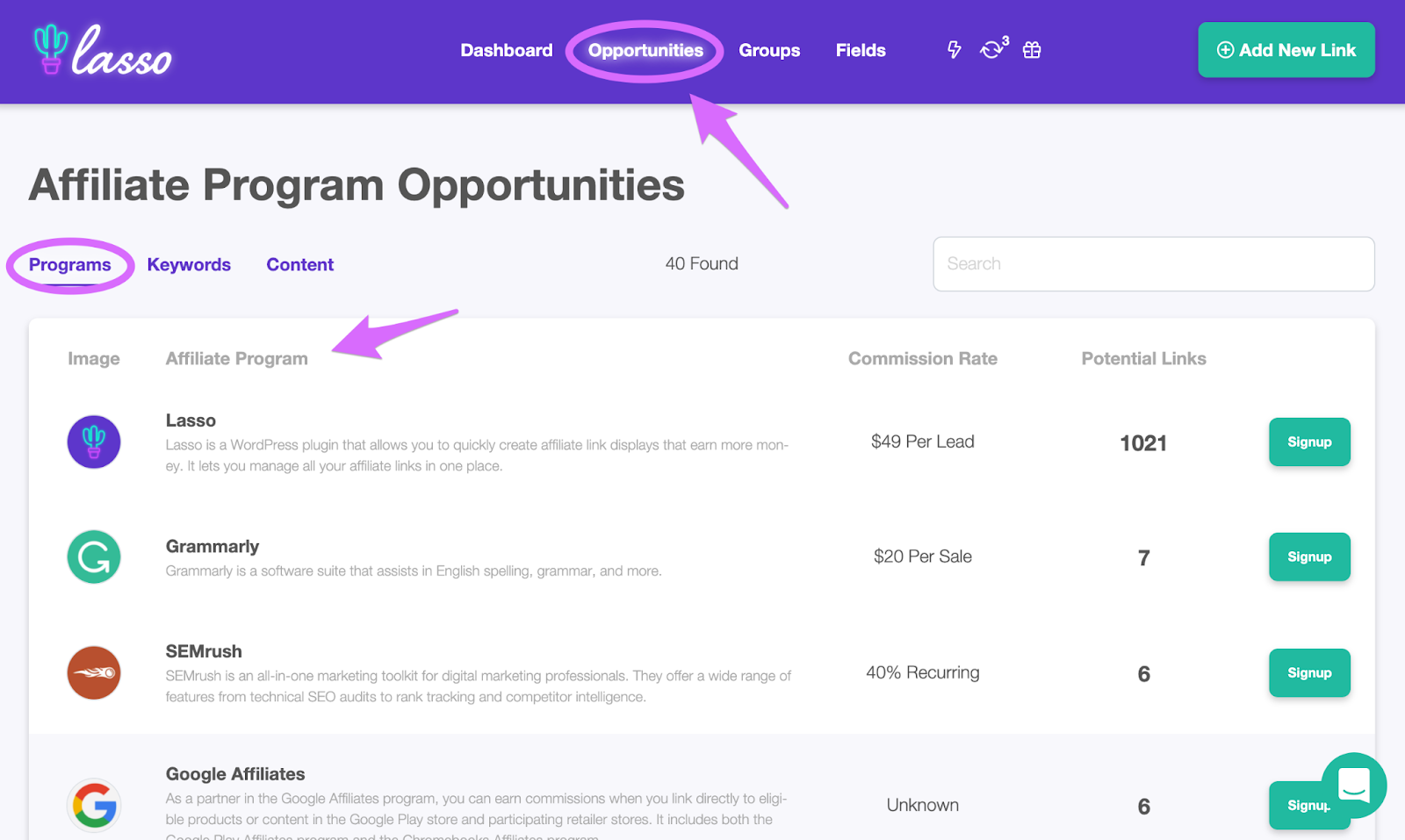 lasso affiliate programs opportunities dashboard