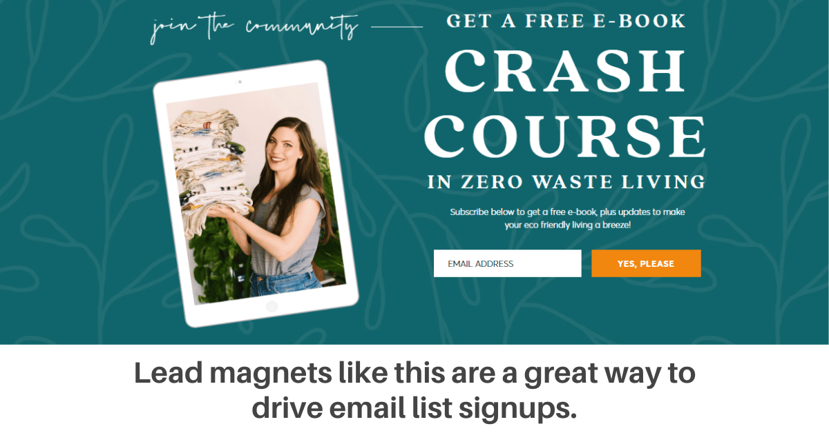 a lead magnet example for turning a blog into a business by building an email list