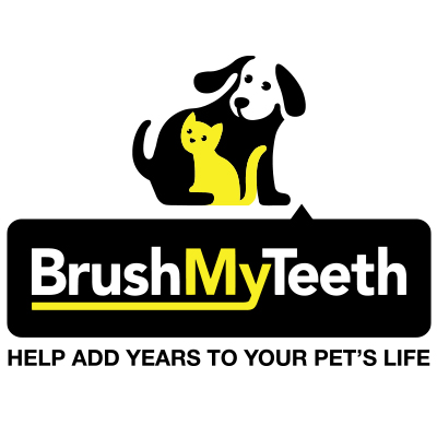 Brush My Teeth