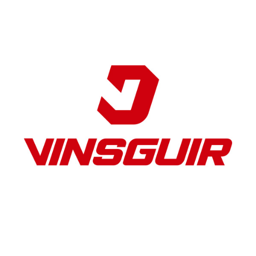 Vinsguir