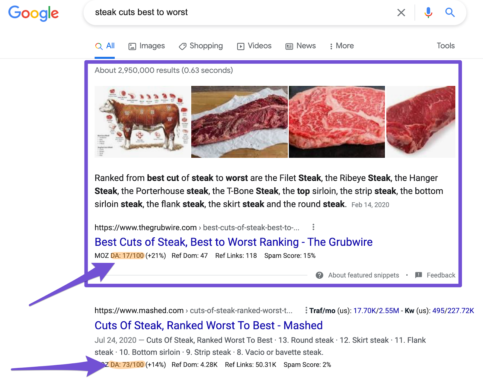 paragraph featured snippet