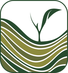 Valley of Tea