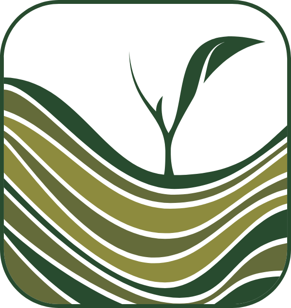 Valley of Tea