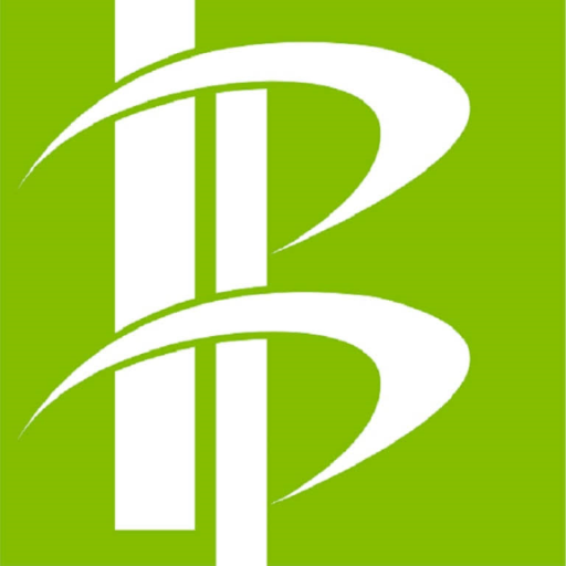 BALDR Electronics